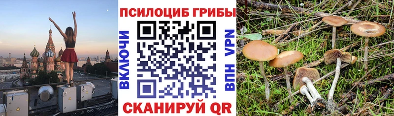 Псилоцибиновые грибы прущие грибы  Нарткала 